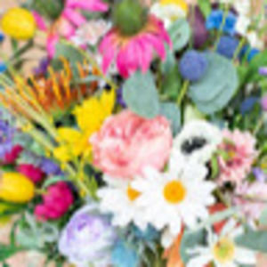 Meet your Posher, Ally